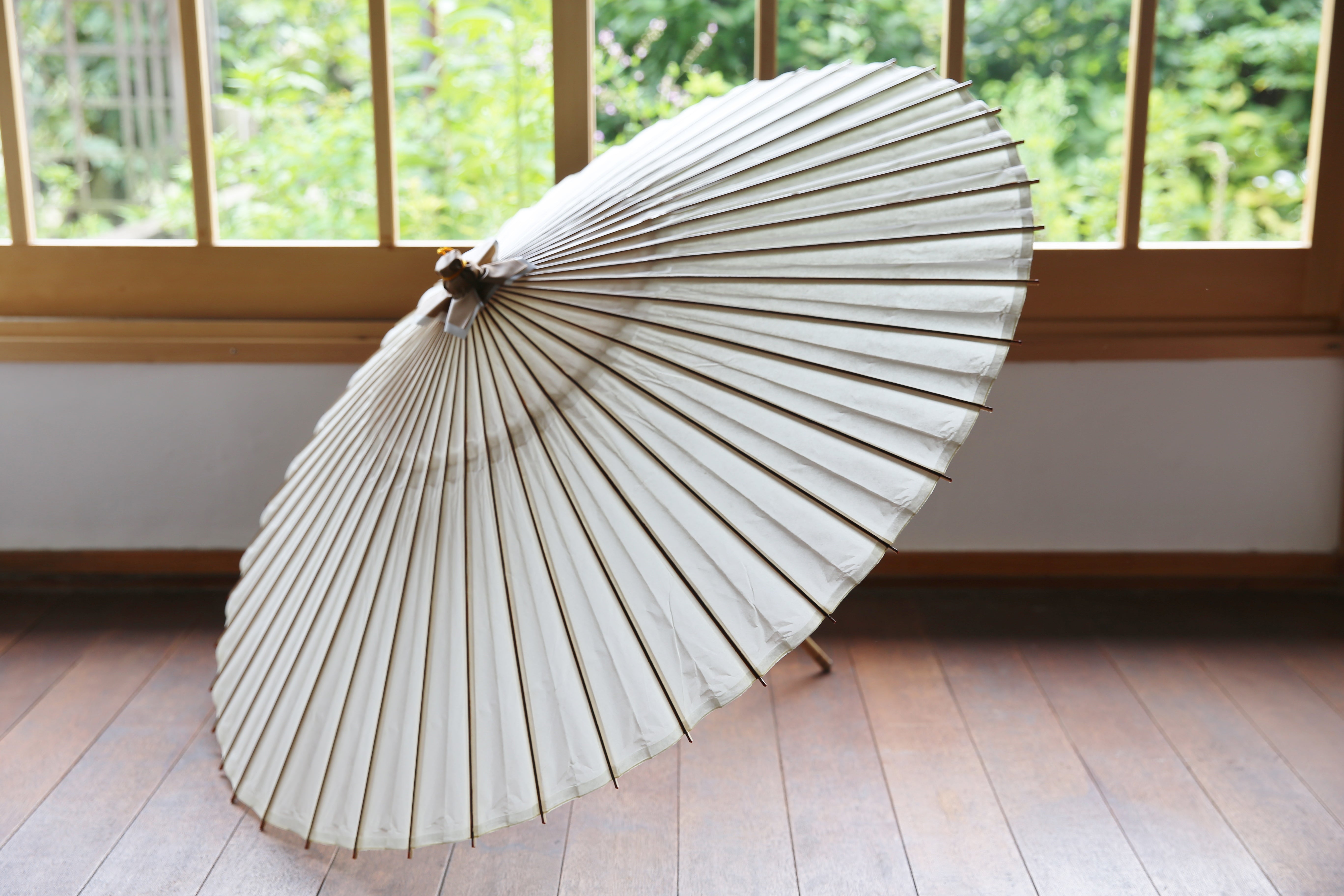 IMG_2846_5472x.jpg?v=1632113169