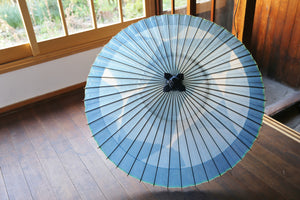 Janome Umbrella [Itetsu White Indigo Dyeing 2021 Kawatsura]