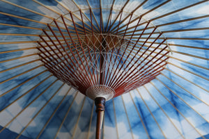Janome Umbrella [Itetsu White Indigo Dye 2021 Hexagonal]
