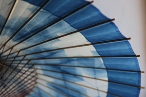 Janome Umbrella [Itetsu White Indigo Dye 2021 Hexagonal]