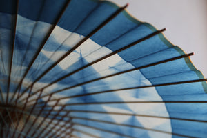 Janome Umbrella [Itetsu White Indigo Dye 2021 Triangle]