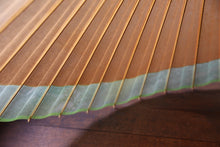 Cargar imagen en el visor de la galería, Paraguas Janome [Kakishibu x Kasumi Dye (Verde) Ⅱ]
