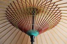 Cargar imagen en el visor de la galería, Paraguas Janome [Kakishibu x Kasumi Dye (Verde) Ⅱ]
