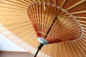 Janome 雨伞 [Nokiyako Kakishibu x Kasumi Dye (Orange Pink)]