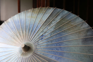 Parasol [Kasumi dyed blue beige]