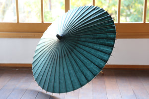 Parasol [double-layered Green x Seigaiha]