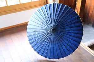 遮阳伞[双线，海军蓝x漩涡]