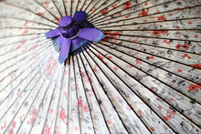 Cargar imagen en el visor de la galería, 蛇の目傘【白鶴】 - 和傘CASA
