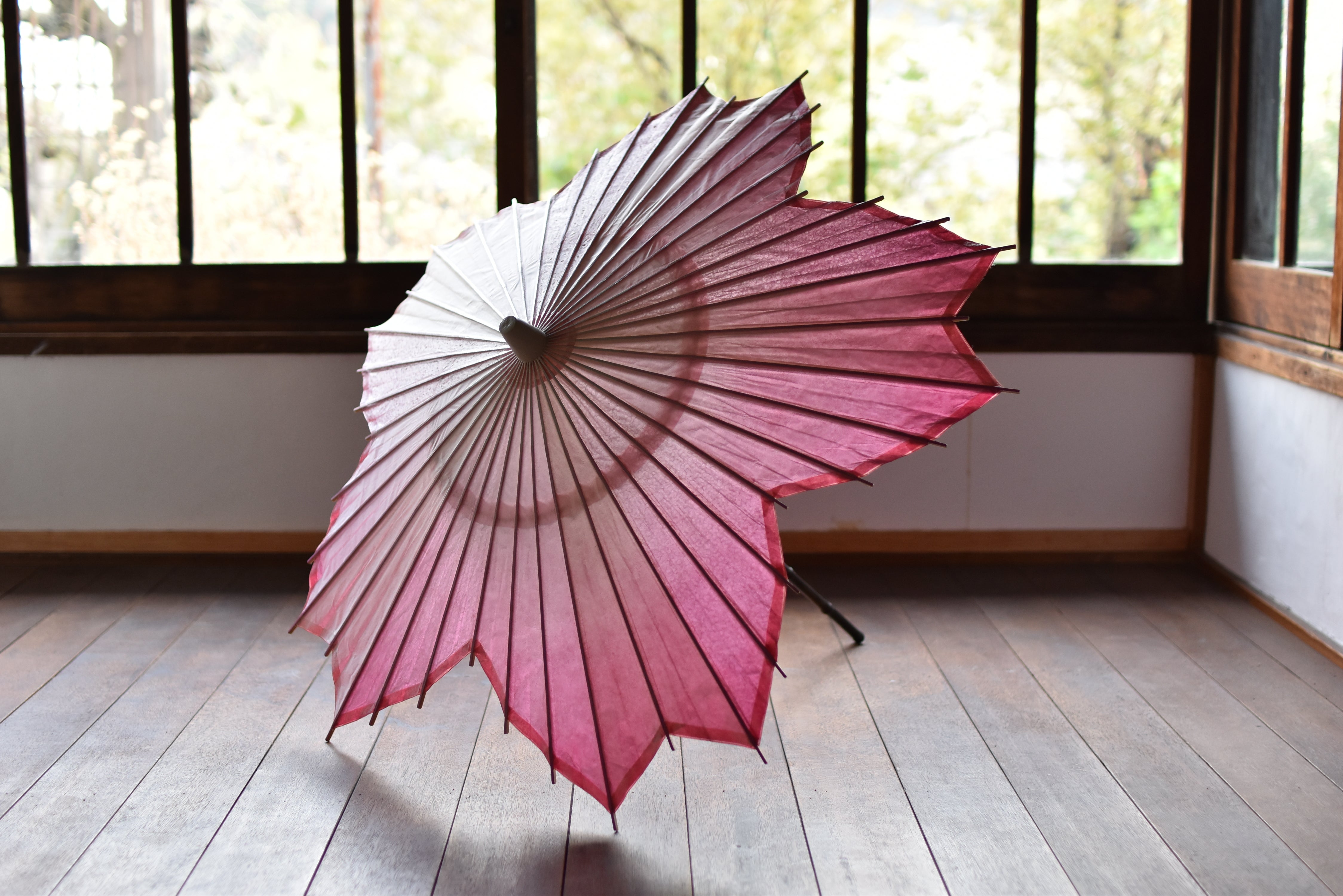 Japanese umbrella [Sakura Japanese umbrella] Now accepting build-to-order  manufacturing